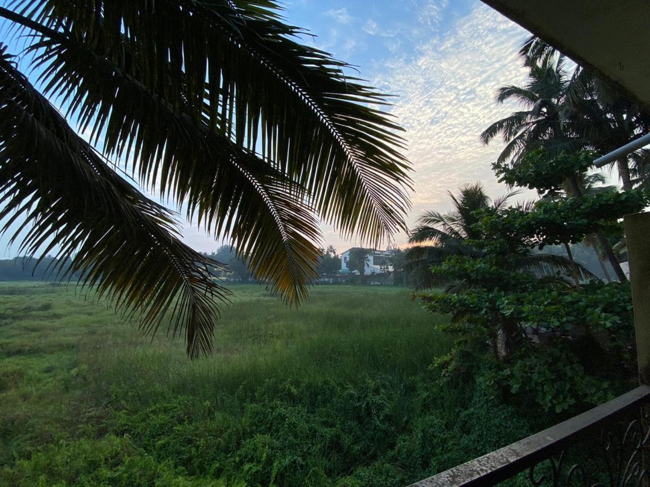 Green Field View كاندولِم المظهر الخارجي الصورة