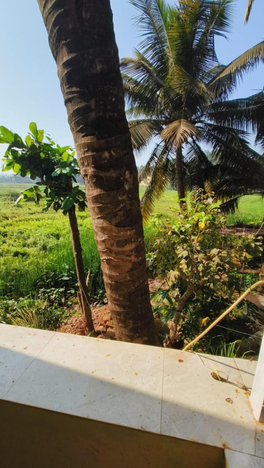 Green Field View كاندولِم المظهر الخارجي الصورة