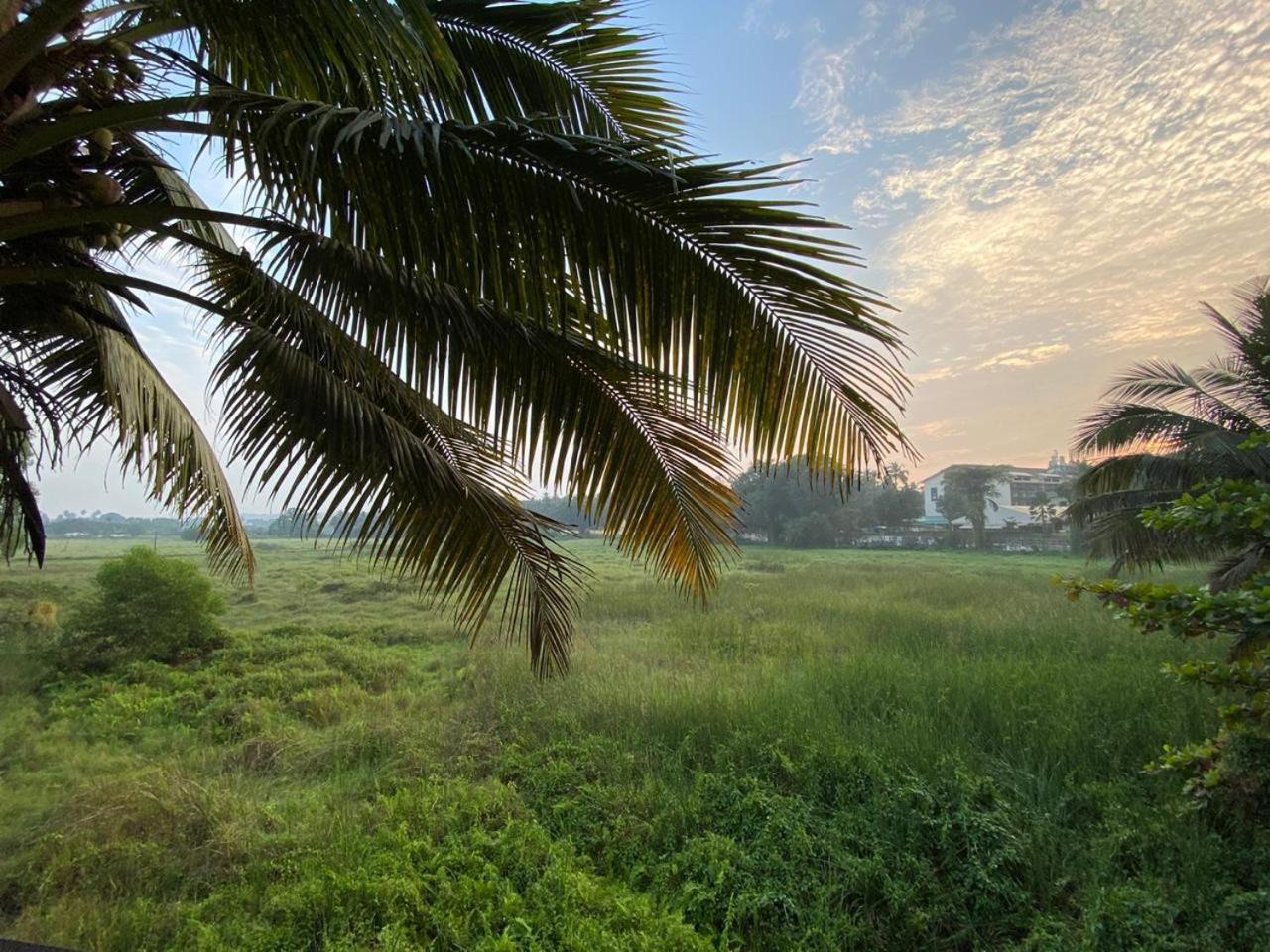 Green Field View كاندولِم المظهر الخارجي الصورة