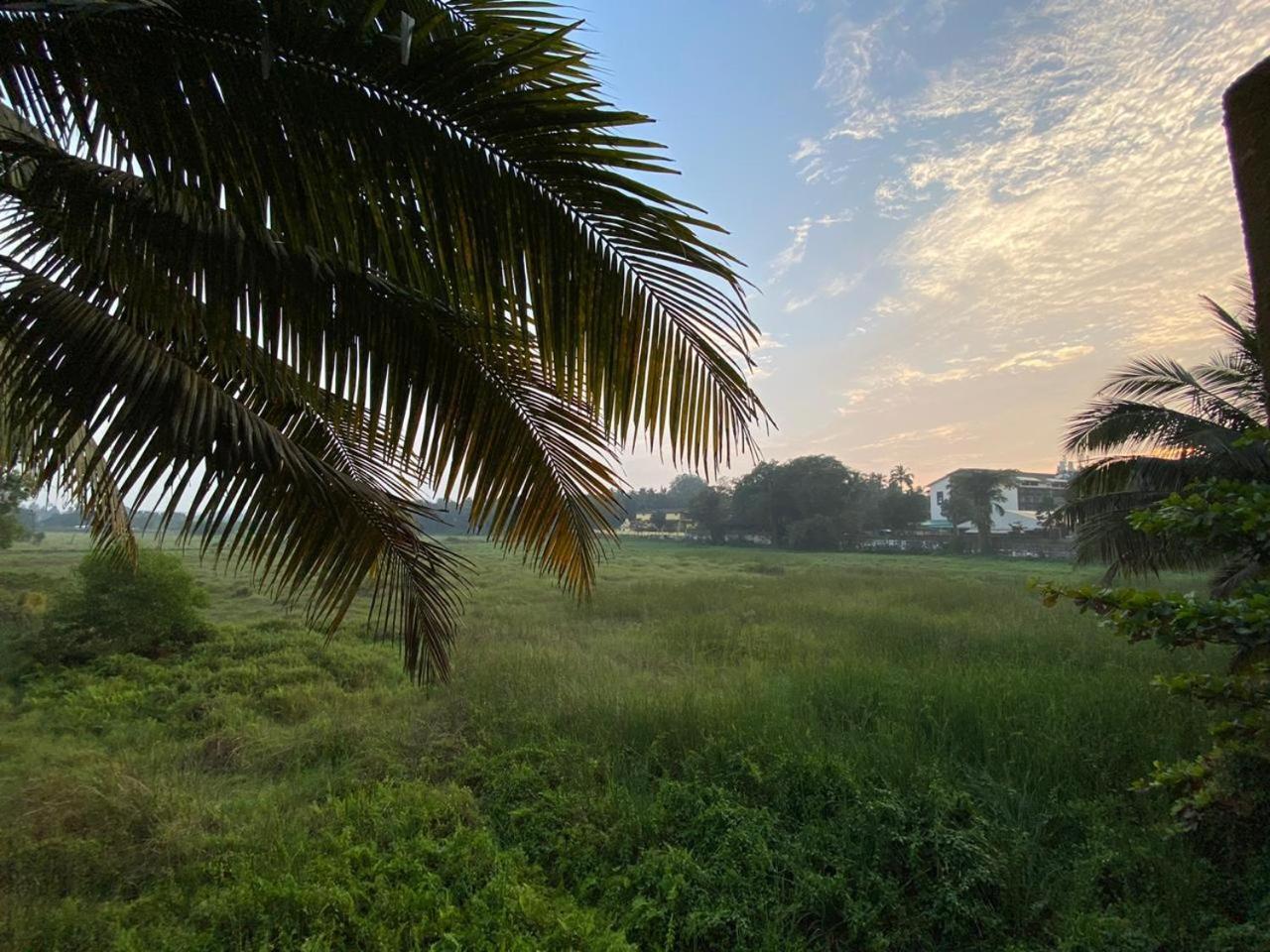 Green Field View كاندولِم المظهر الخارجي الصورة